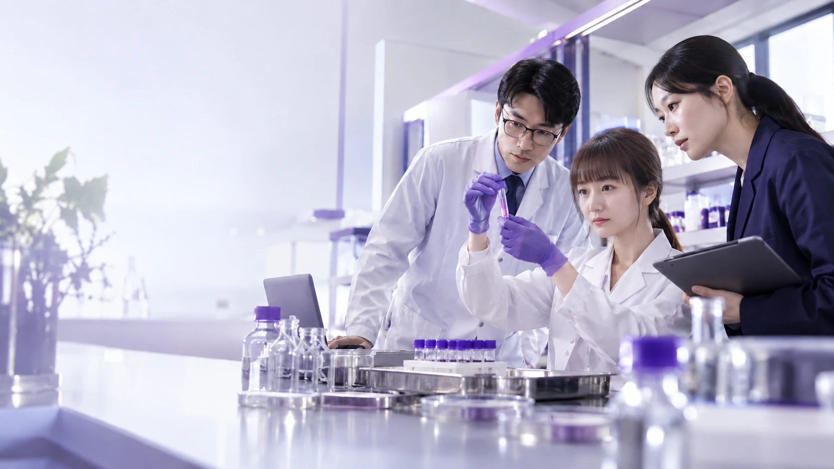 East asian commercial technical meeting with samples — project illustration