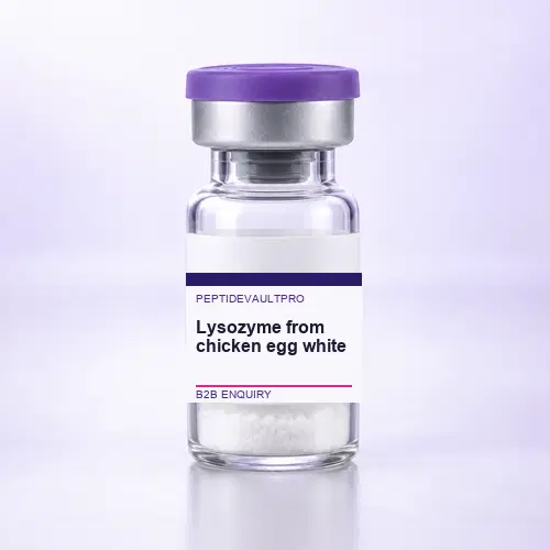 Lysozyme from chicken egg white product presentation